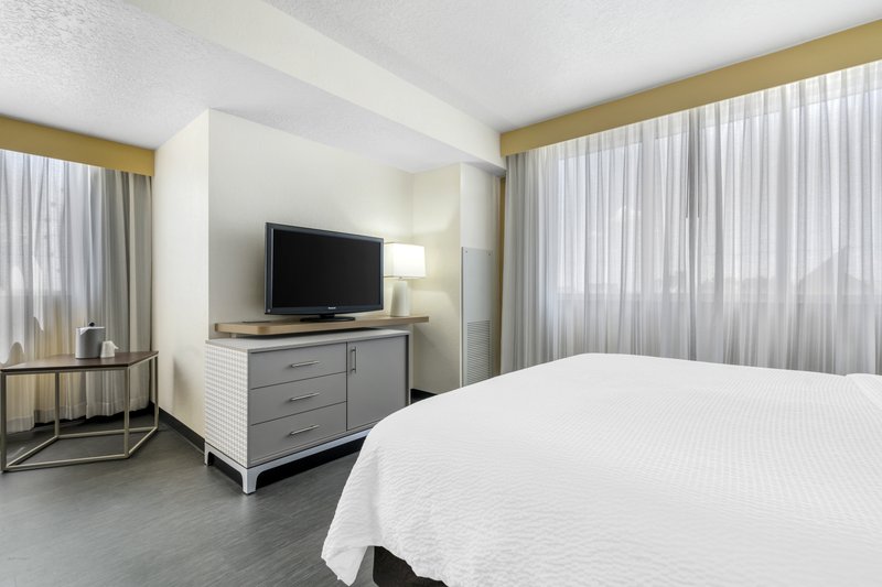 Holiday Inn Orlando International Dr-ICON