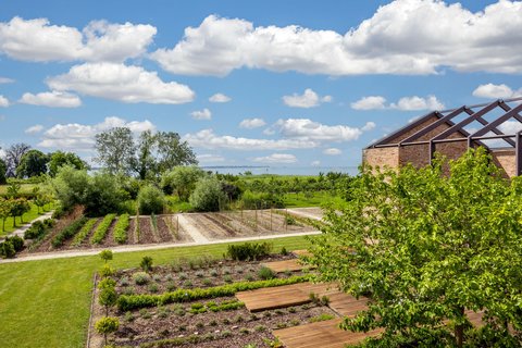 JW Vegetable Garden