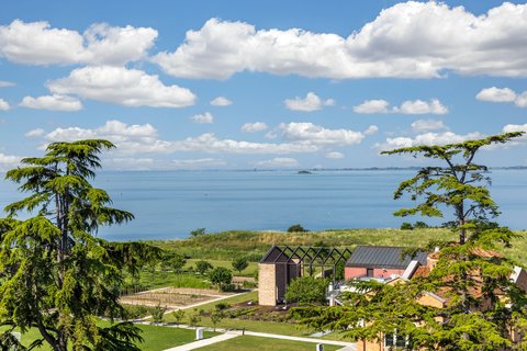 JW Vegetable garden view