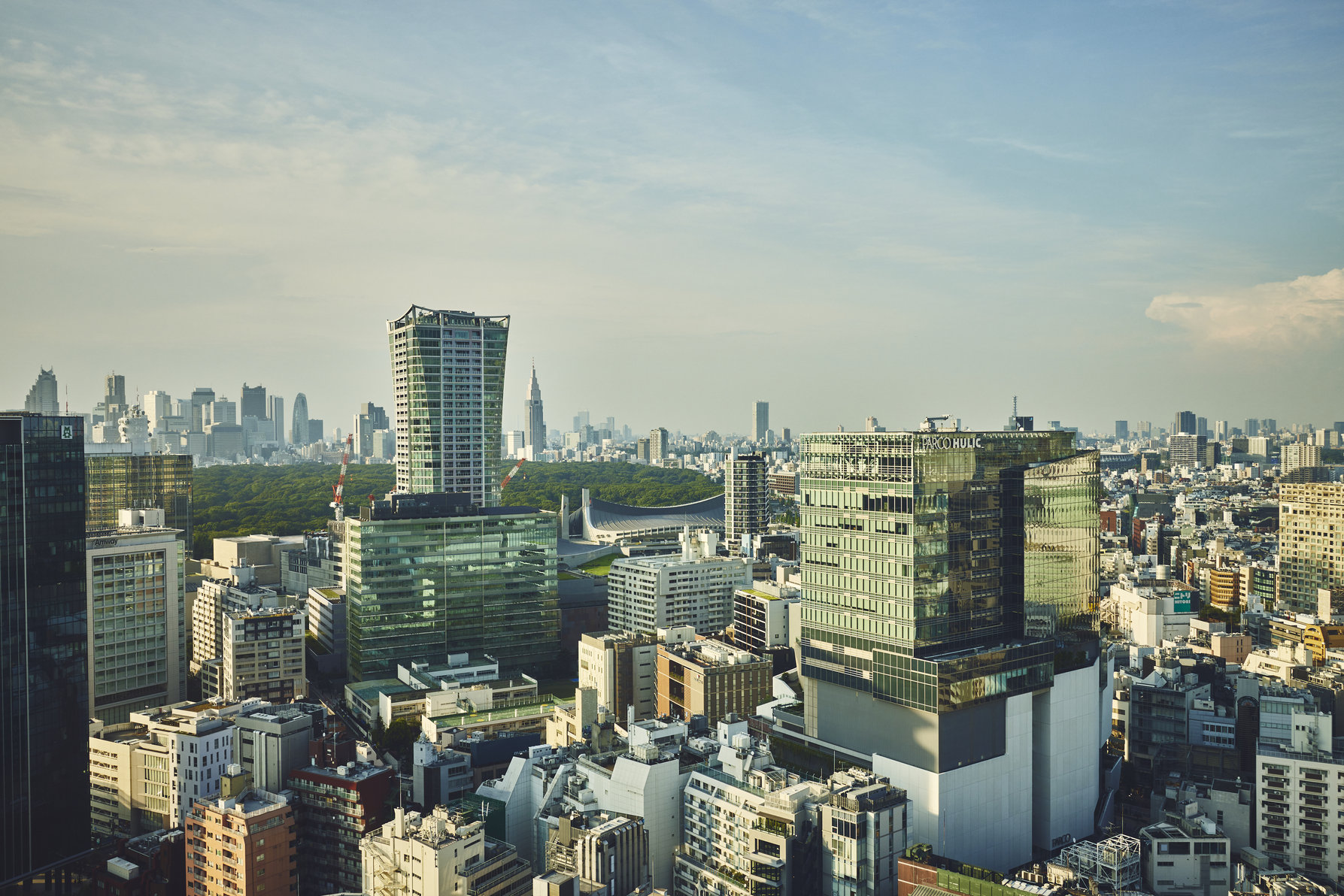 Yoyogi Park View