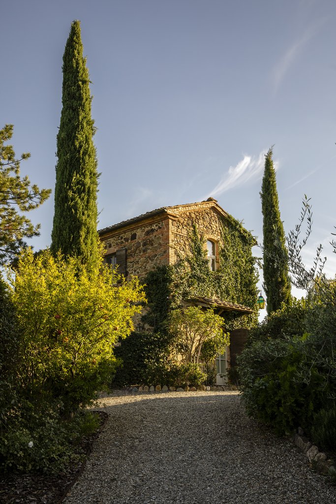 Guest photo