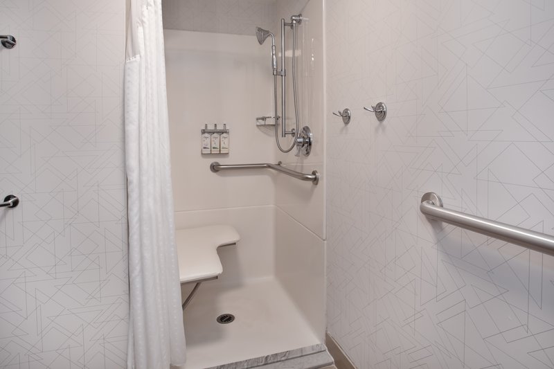 QUEEN BED ACCESSIBLE ROLL IN SHWR NOSMK