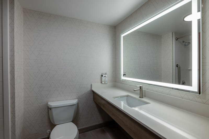 Holiday Inn Express Rochester South – Mayo Area