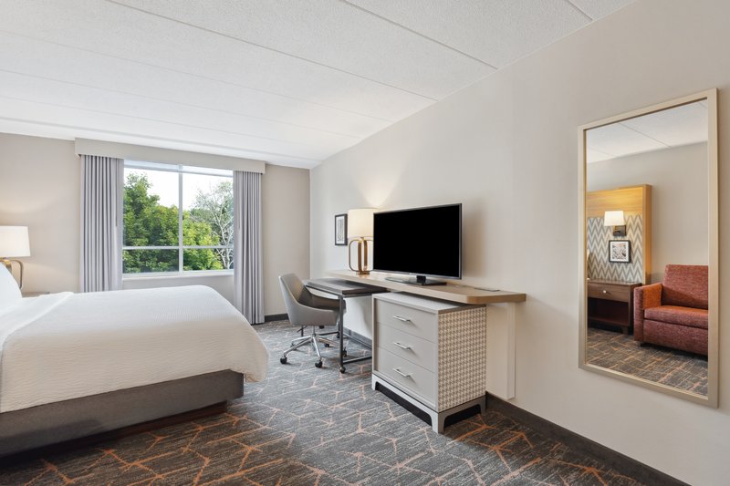 1 King Bed Standard with Sofa Bed
