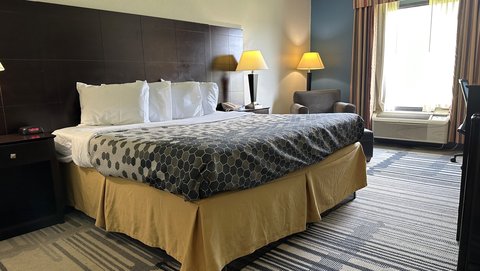Super Inn And Suites Guestroom One King