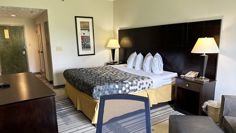 Super Inn And Suites Guestroom One King