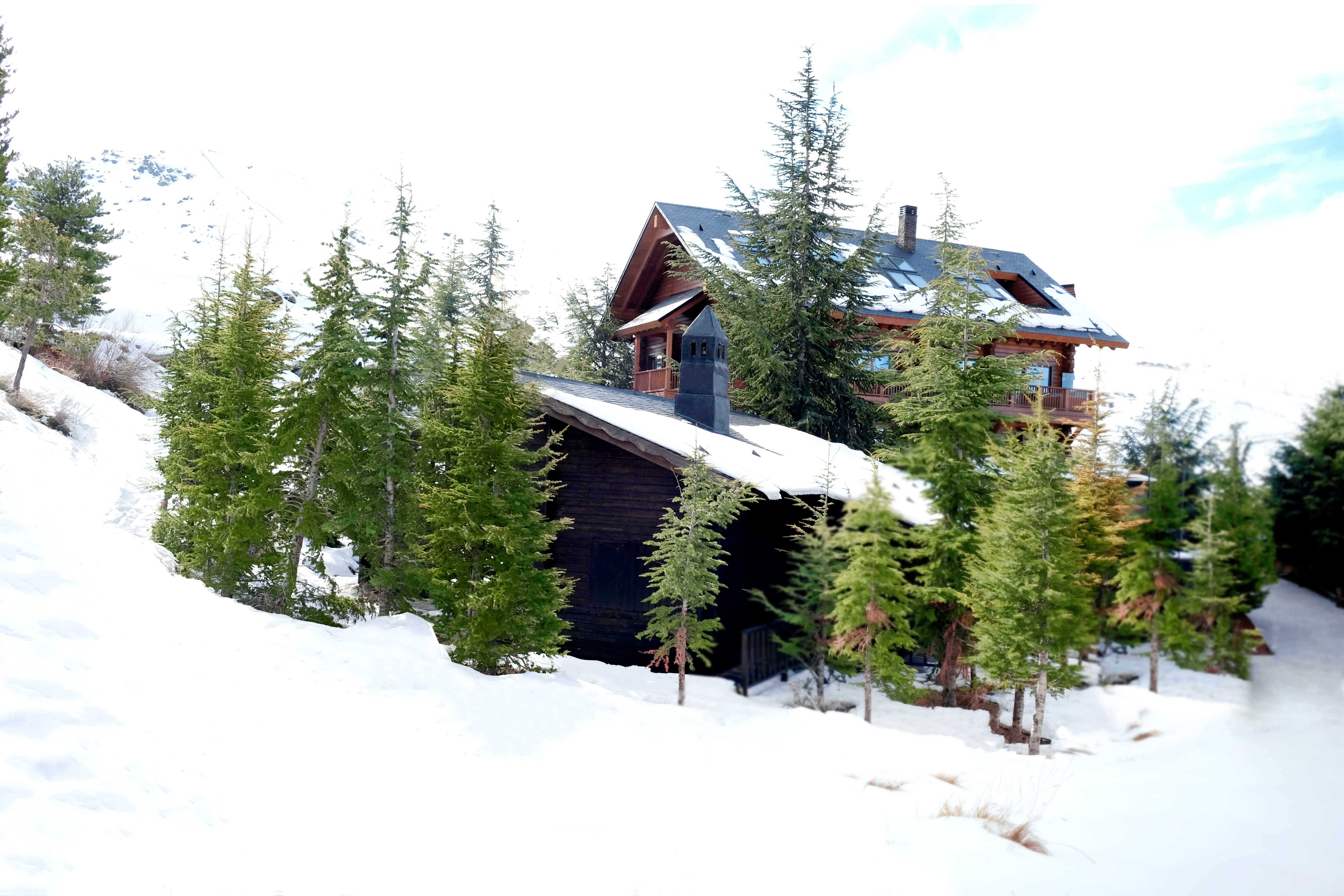 El Lodge Ski & Spa Resort