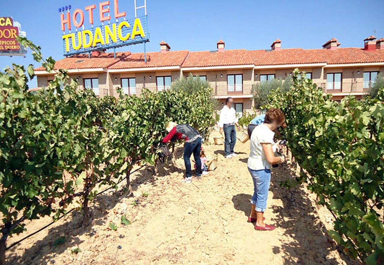 Hotel Tudanca-Aranda