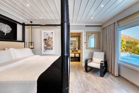 Luxury Suite with Pool