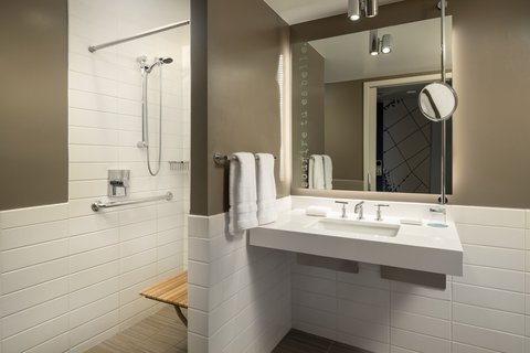 Accessible Guest Bathroom - Roll-In Shower