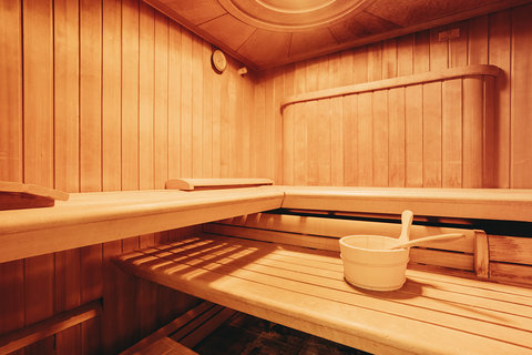 Wellness Sauna