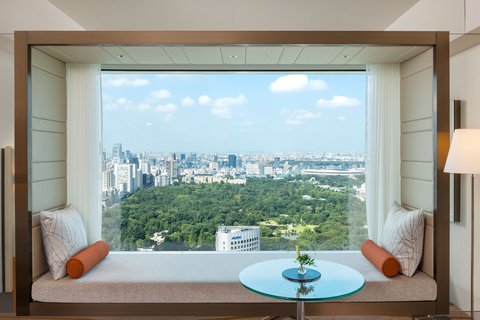 Deluxe Guest room - view