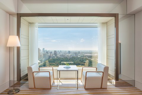 Deluxe Premier Guest room - view