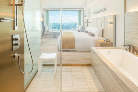 Club Deluxe Guest Bath Room