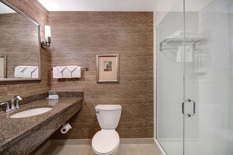 Holiday Inn DETROIT METRO AIRPORT