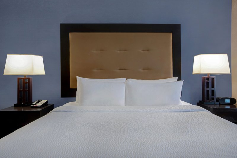 Holiday Inn DETROIT METRO AIRPORT