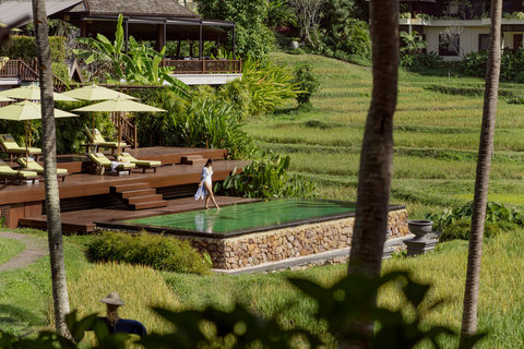 Swimming pool with Rice field view