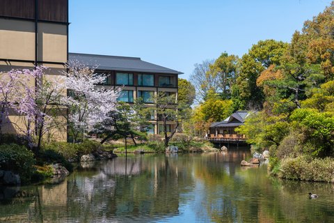 Pond Garden