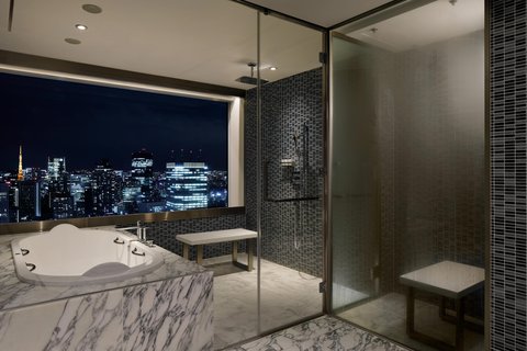 Designer's Suite Bathroom