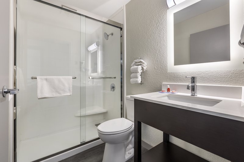 1 King Standard Mobility Accessible Roll In Shower