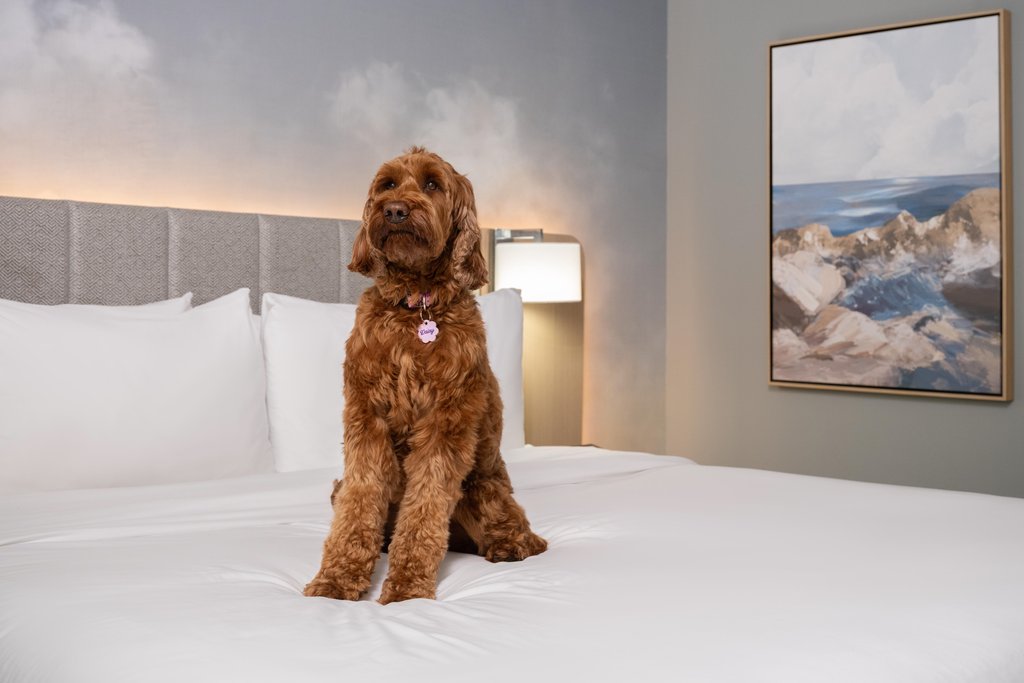 Hotel Indigo LONG ISLAND - EAST END, New York