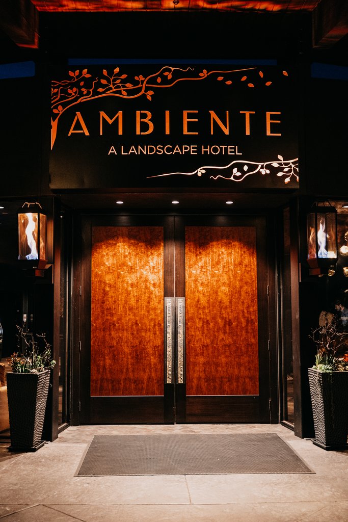 Guest photo