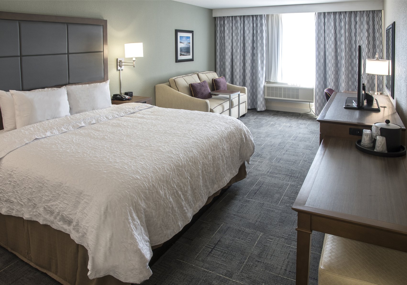 Hampton Inn by Hilton Hartwell Room Type - 1 KING SFBD MIC FRG NS