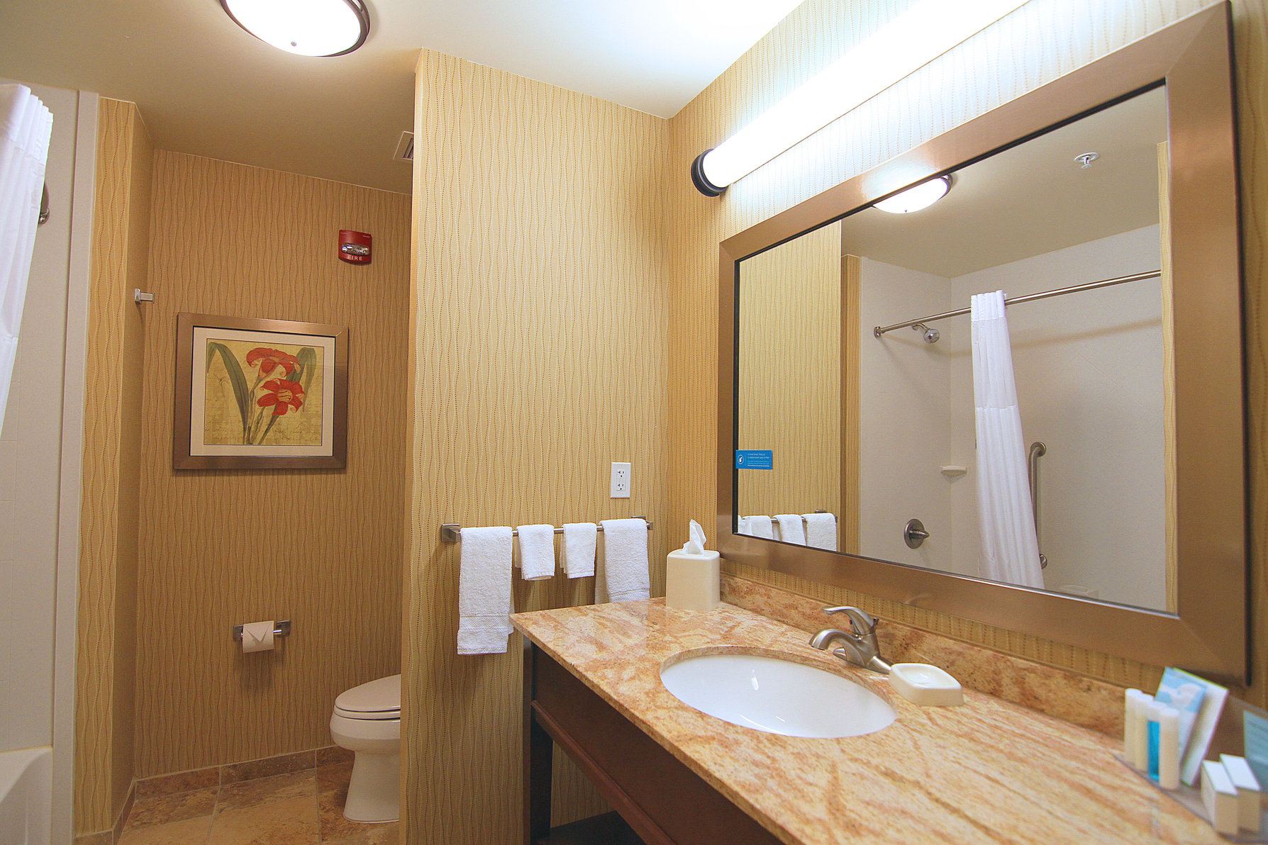 Hampton Inn & Suites Grand Forks, ND Room Type - 2 QNS HEARING ACC NOSMOK