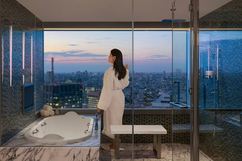 Designer's suite bathroom