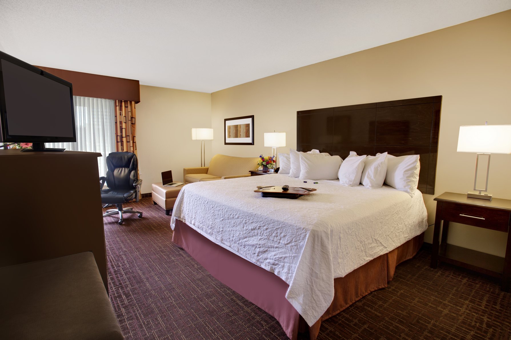 Hampton Inn by Hilton Cullman Room Type - 1KNG MOB HEAR ACC W TUB NS