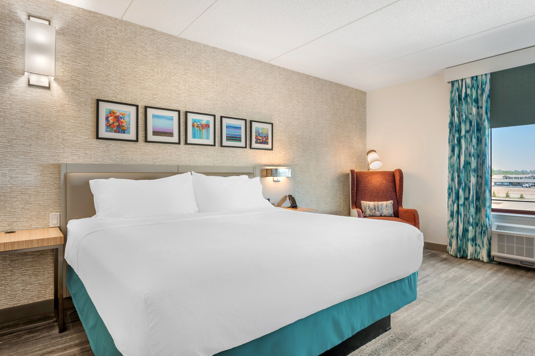 Hilton Garden Inn Wisconsin Dells Room Type - 1 KING ACC RM W BATHTUB