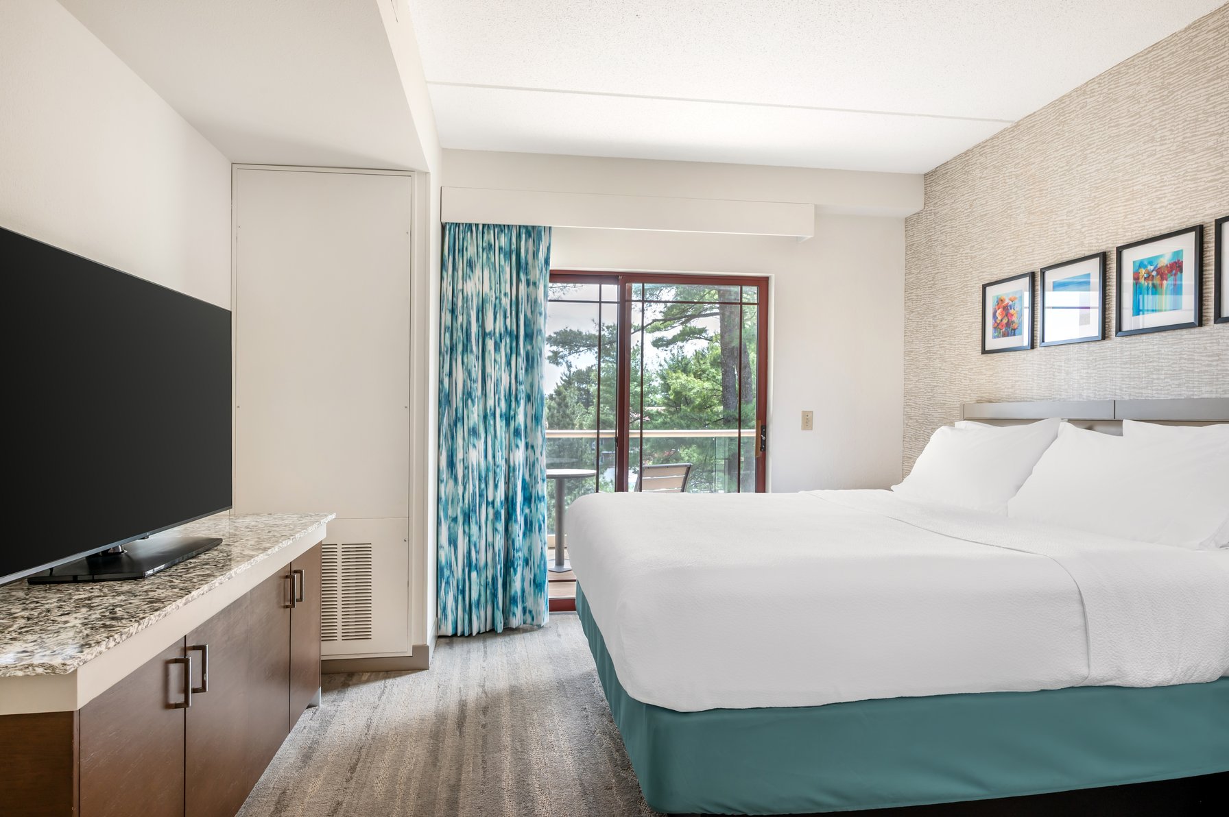 Hilton Garden Inn Wisconsin Dells Room Type - 1 KNG DLX HEAR ACC BALCONY
