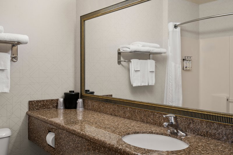 HOLIDAY INN EXPSTE NEW BUFFALO