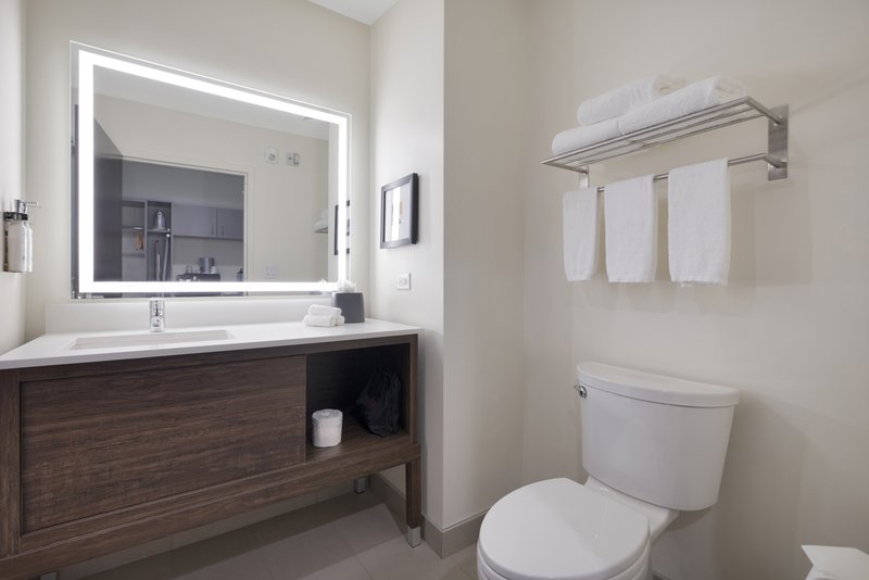 Holiday Inn Chicago – Tinley Park