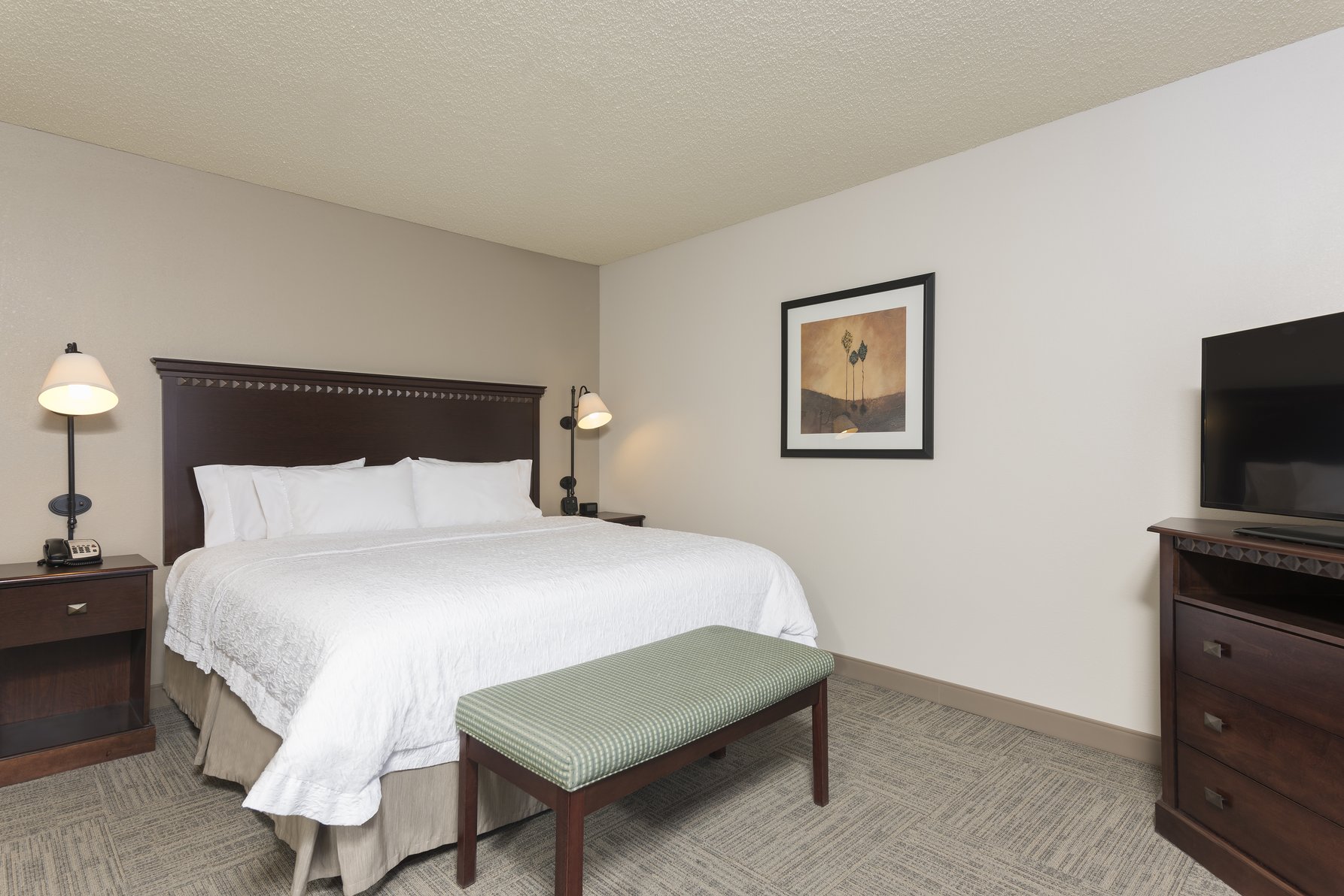 Hampton Inn & Suites Hartford-Manchester, CT Room Type - 1KNG MOB ACC W TUB NS