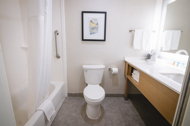 Holiday Inn Hotel and Suites Houston NW – Vintage Park Area