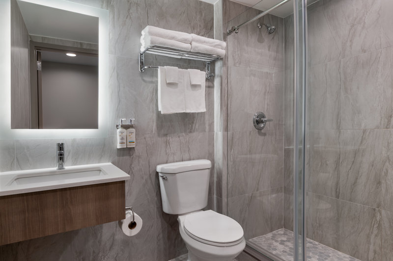 Holiday Inn Express and Suites Bronx – Zoo Area