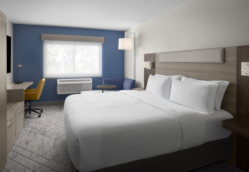 HOLIDAY INN EXP STES MONTROSE